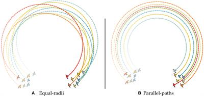 Diffusion during collective turns in bird flocks under predation